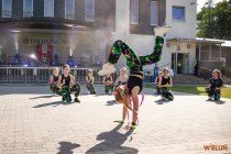 IMG_3761