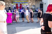 IMG_3939