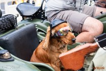 IMG_0217