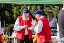 IMG_2446