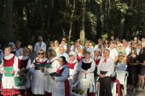 532634517_1325390616263987_3565777194401168445_n