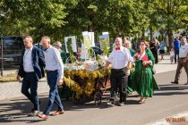 IMG_4001