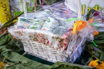 IMG_4102