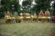 IMG_4625