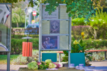 542983976_1184878857001232_1710044968464908625_n