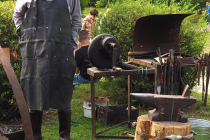 OLYMPUS DIGITAL CAMERA