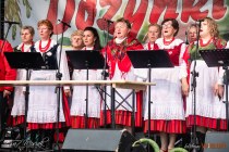 IMG_6295