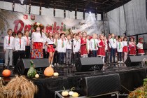 IMG_6871