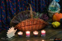 IMG_9097