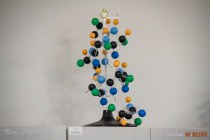 IMG_9833
