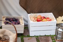 IMG_9879