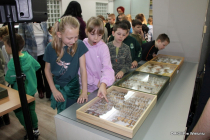 015-IMG_2356-001