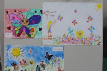 145-IMG_2489-001