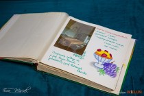 IMG_1587