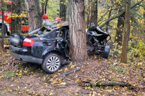 575200230_122169345608590801_2605368672060871447_n