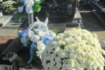 2025-11-03-wszystkich-swietych-w-Ozarowie-11