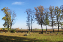 2025-11-03-wszystkich-swietych-w-Ozarowie-8