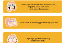 Samobadanie-jader_kwadrat-3