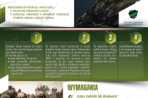 3-