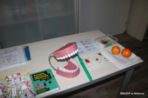 17-IMG_3590