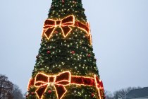 IMG_0375