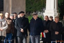 IMG_8003