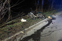 600221803_1277224541110316_7510996885197452090_n