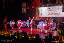 IMG_8241