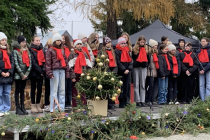 605116257_1284058260421648_8403680094806381720_n