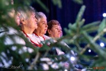 IMG_9387