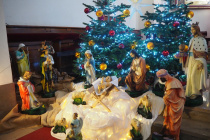 OLYMPUS DIGITAL CAMERA