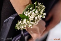 IMG_7531
