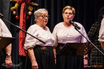 IMG_1636