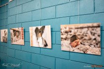 IMG_1767