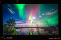 IMG_1990