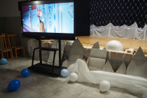 OLYMPUS DIGITAL CAMERA