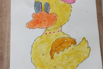 8-IMG_20260205_131058