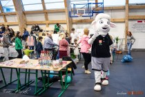 IMG_5197