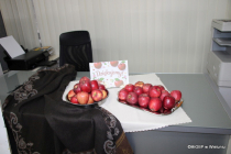 02-IMG_4331
