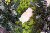 643449019_122129793069050854_2745883620832123058_n