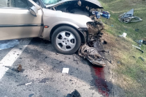 672687315_1441398648031532_7617426469710182449_n