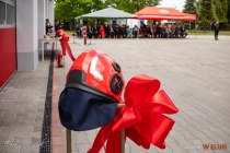 IMG_5985