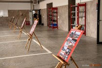 IMG_6259