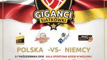 ,,Wielton Giganci Siatkówki” Wieluń 2018