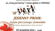 Jesienny Piknik – święto pieczonego ziemniaka