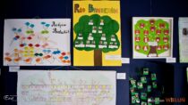 W wieluńskim muzeum rozstrzygnięto konkurs „Moje Drzewo Genealogiczne”
