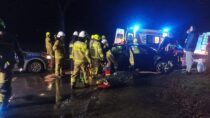 Na DK 45 w Opojowicach samochód uderzył w drzewo. Jedna osoba poszkodowana