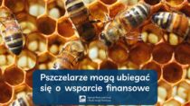 Pszczelarze mogą już ubiegać się o wsparcie finansowe