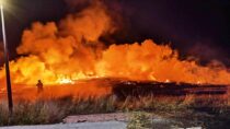 Pożar w Turowie. Palił się kombajn i zboże na pniu