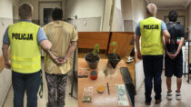 Plantacja w sercu miasta! Dwóch cudzoziemców zatrzymanych